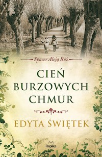 Cień burzowych chmur - Edyta Świętek - książka