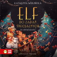 Elf do zadań specjalnych - Wierzbicka Katarzyna - audiobook + książka