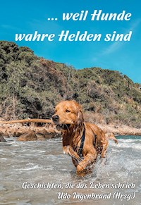 ... weil Hunde wahre Helden sind - Udo Ingenbrand - ebook