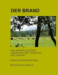 Der Brand - Bernhard Heinz Witzsch - ebook