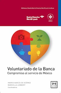Voluntariado de la Banca -  - ebook