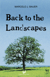 Back to The Landscapes - Marcelo J. Bauer - ebook