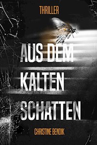Aus dem kalten Schatten - Christine Bendik - ebook