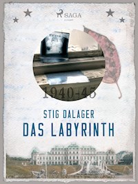 Das Labyrinth - Stig Dalager - ebook