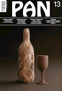 PAN 13 - VV. AA. - ebook