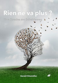 Rien ne va plus? - Kitzmüller Gerald - ebook