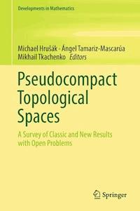 Pseudocompact Topological Spaces -  - ebook
