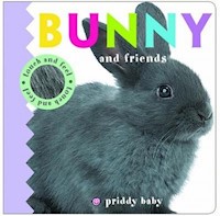 Bunny & Friends Touch and Feel - Priddy  Roger - książka