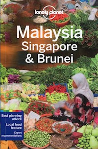 Malaysia Singapore Brunei - Albiston Isabel, Atkinson Brett, Benchwick Greg - książka