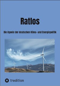 Ratlos - Rolf Bergmeier - ebook