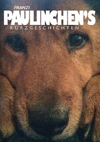 Paulinchen's Kurzgeschichten - FrAnZl - ebook