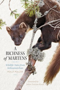 A Richness of Martens - Polly Pullar - ebook