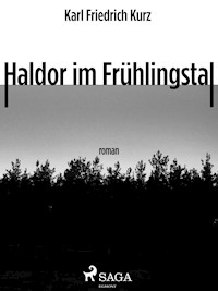 Haldor im Frühlingstal - Karl Friedrich Kurz - ebook