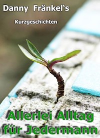 Allerlei Alltag für Jedermann - Danny Fränkel - ebook