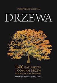 Drzewa Przewodnik Collinsa - Johnson Owen, More David - książka