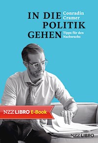 In die Politik gehen - Conradin Cramer - ebook