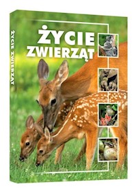 Życie zwierząt - Koziński Remigiusz - książka