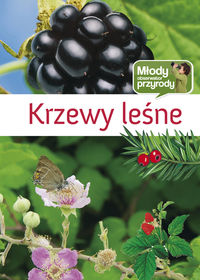 Krzewy leśne -  - książka