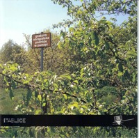 Podróże w pamięć - Obrąpalska Grażyna - książka