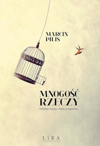 Mnogość rzeczy - Marcin Pilis - ebook + audiobook + książka