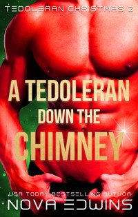 A Tedoleran down the Chimney - Nova Edwins - ebook
