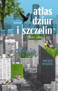 Atlas dziur i szczelin - Książek Michał - książka