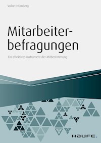 Mitarbeiterbefragungen - Volker Nürnberg - ebook