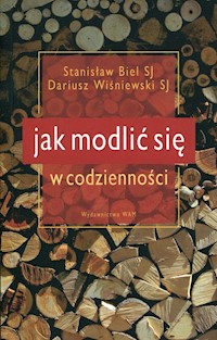 Jak modlić się w codzienności - Dariusz  Wiśniewski, Stanisław Biel - książka