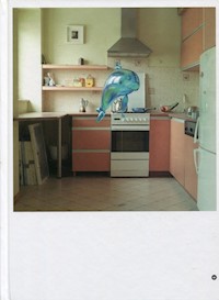 Decydujący moment Nowe zjawiska w fotografii polskiej po 2000 roku - Mazur Adam - książka