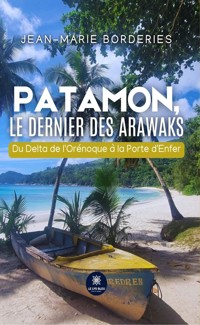 Patamon, le dernier des Arawaks - Jean-Marie Borderies - ebook