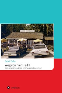 Weg von hier! Teil II - Detlef Zeiler - ebook
