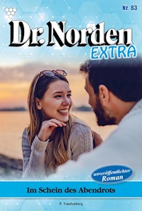 Im Schein des Abendrots - Vandenberg Patricia - ebook