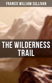 The Wilderness Trail - Francis William Sullivan - ebook