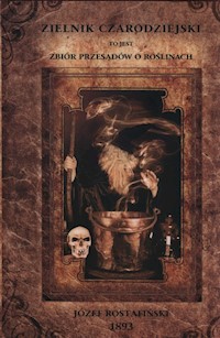 Zielnik Czarodziejski - Rostafiński Józef - książka