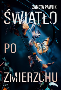 Światło po zmierzchu - Pawlik Żaneta - ebook + audiobook + książka
