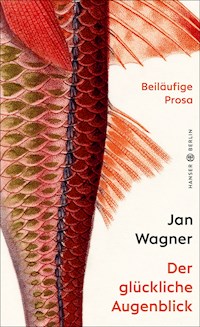 Der glückliche Augenblick - Jan Wagner - ebook