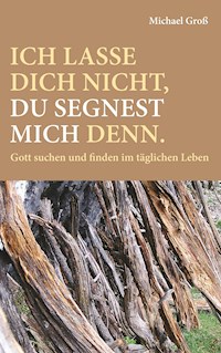 Ich lasse dich nicht, du segnest mich denn. - Michael Groß - ebook