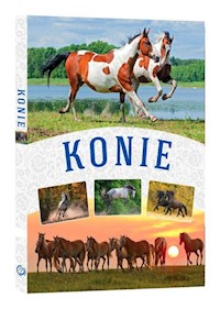 Konie - Mąkosa Małgorzata - książka