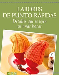 Labores de punto rápidas - Roswitha Sanchez Ortega - ebook