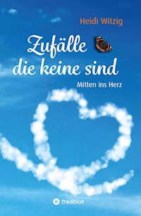Zufälle, die keine sind - Heidi Witzig - ebook