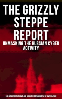 The Grizzly Steppe Report (Unmasking the Russian Cyber Activity) - U.S. Department of Homeland Security - ebook