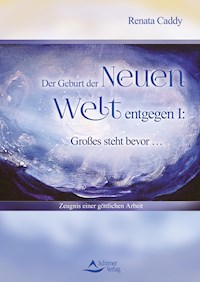 Der Geburt der Neuen Welt entgegen I: Großes steht bevor … - Renata Caddy - ebook
