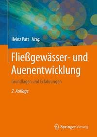 Fließgewässer- und Auenentwicklung -  - ebook