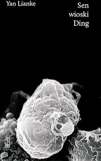 Sen wioski Ding - Lianke Yan - książka