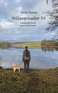 Schlampenacker 3.0 - Sylvia Natrop - ebook