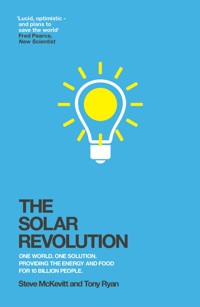The Solar Revolution - Steve McKevitt - ebook