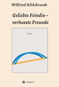 Geliebte Feindin - verhasste Freunde - Wilfried Hildebrandt - ebook