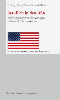 Beruflich in den USA - Emily J. Slate - ebook