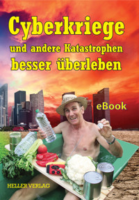 Cyberkriege und andere Katastrophen besser überleben - Klaus Heller - ebook