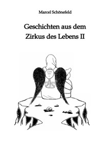 Geschichten aus dem Zirkus des Lebens II - Marcel Schönefeld - ebook